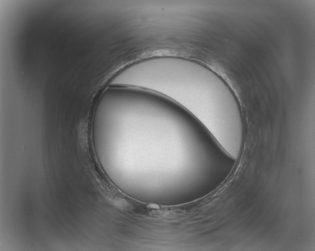 X0000070410297200606091002