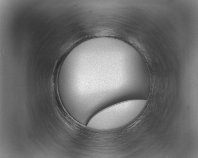 X0000070410298200606091002