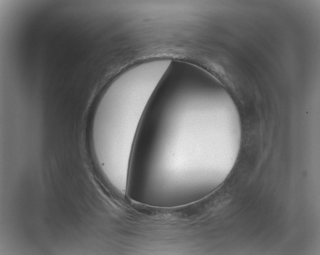 X0000070410299200606091002