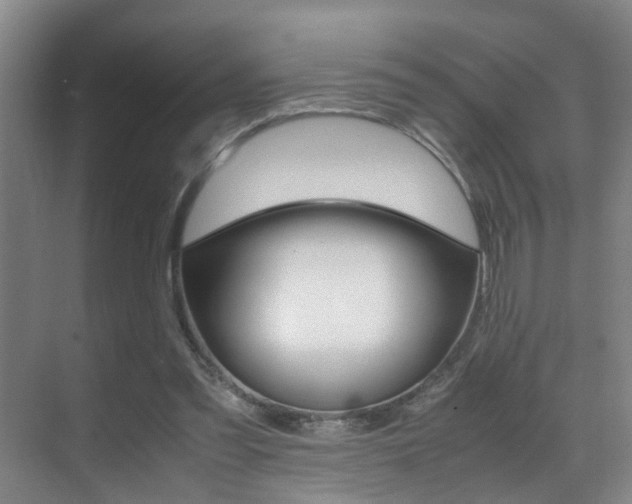 X0000070410301200606091002