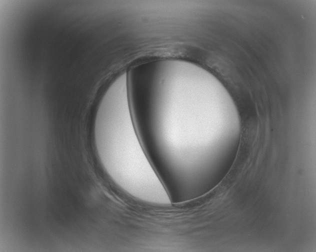 X0000070410303200606091002