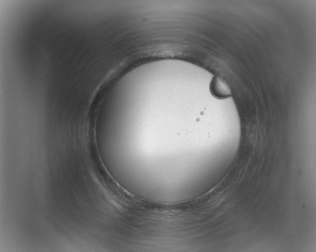 X0000070410304200606091002