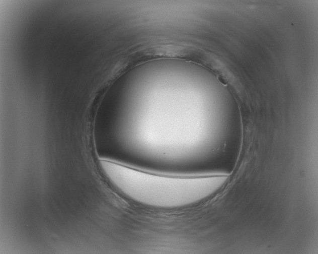 X0000070410305200606091002