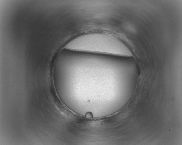 X0000070410306200606091002