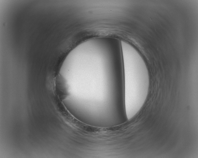 X0000070410307200606091002