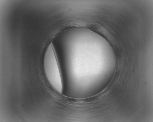 X0000070410309200606091002