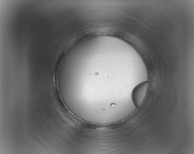 X0000070410310200606091002