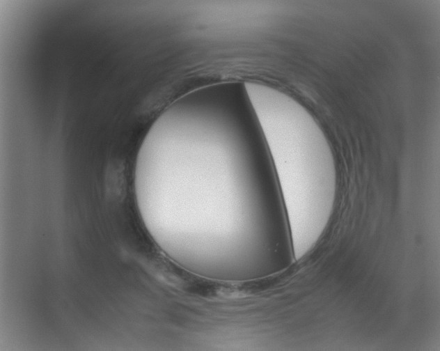 X0000070410311200606091002