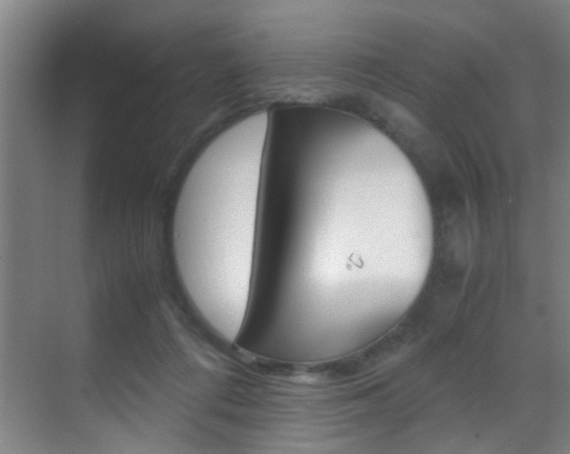 X0000070410312200606091002