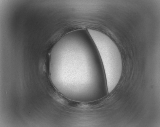 X0000070410313200606091002