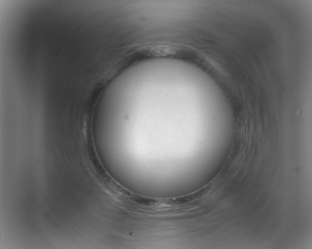 X0000070410315200606091002