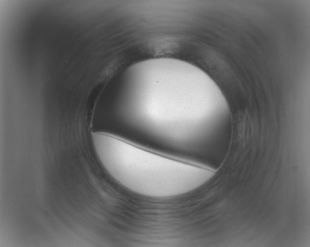 X0000070410316200606091002