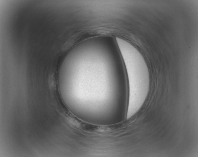 X0000070410317200606091002