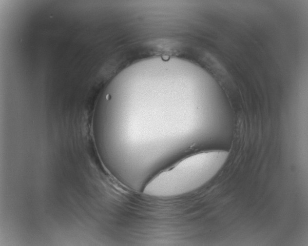 X0000070410318200606091002