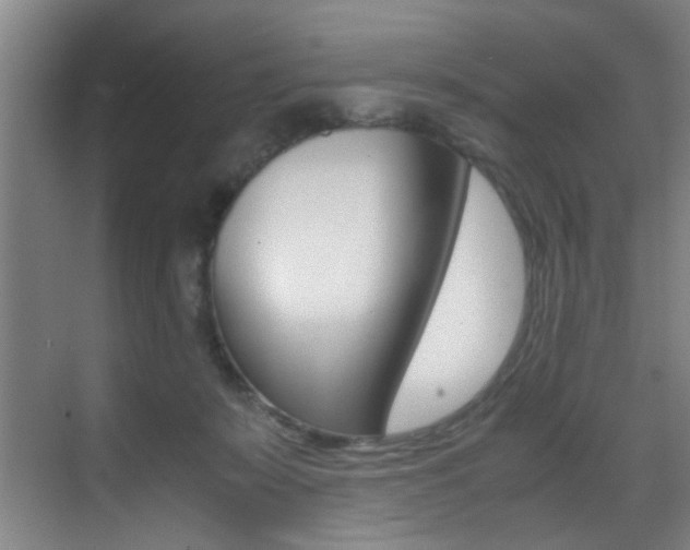 X0000070410319200606091002