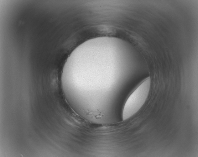 X0000070410320200606091002