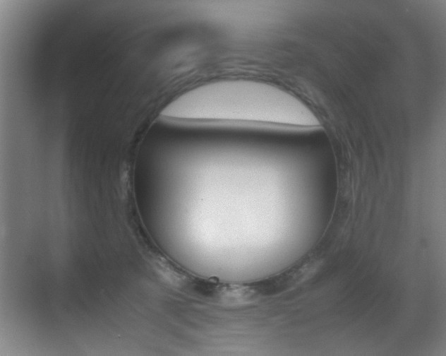 X0000070410321200606091002