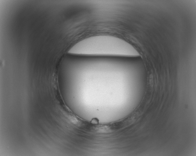 X0000070410322200606091002