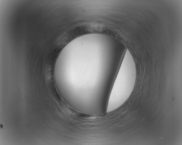 X0000070410323200606091002