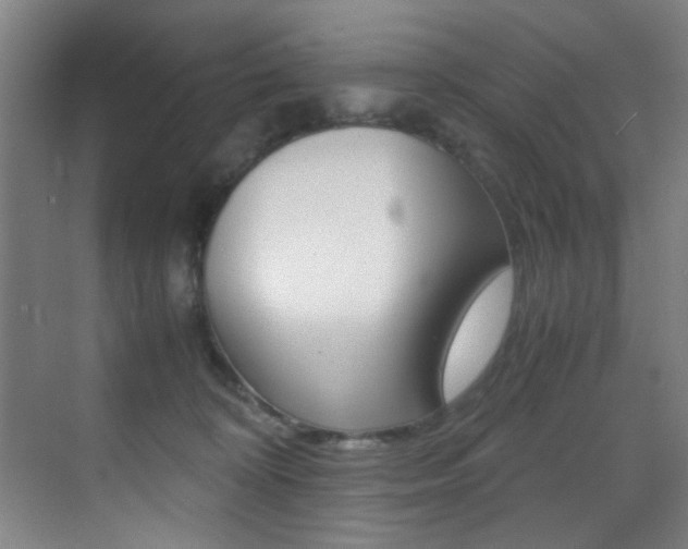 X0000070410324200606091002