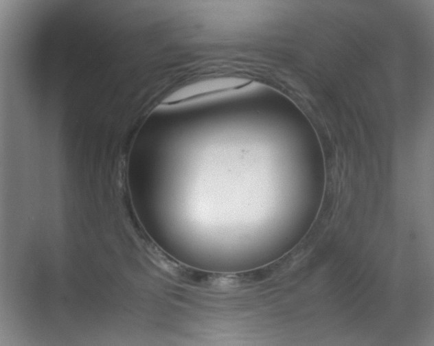 X0000070410325200606091002