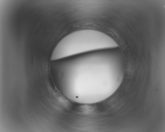 X0000070410326200606091002