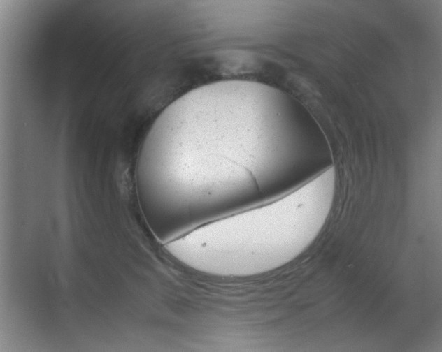 X0000070410327200606091002