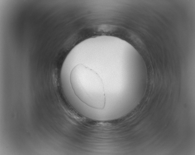 X0000070410328200606091002