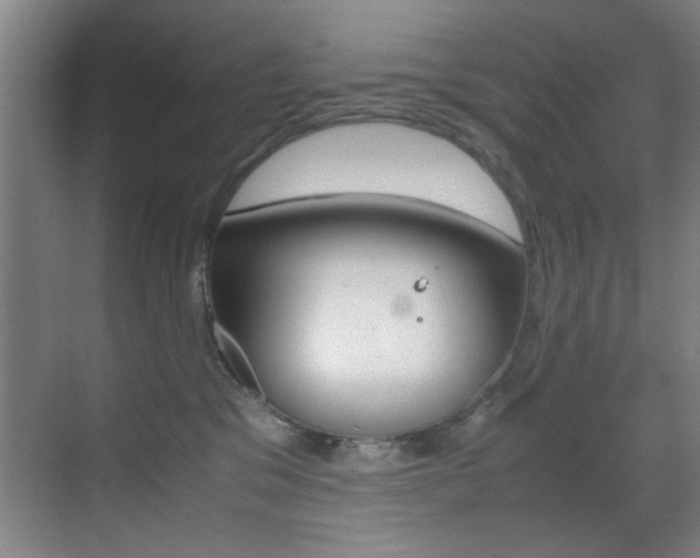 X0000070410329200606091002