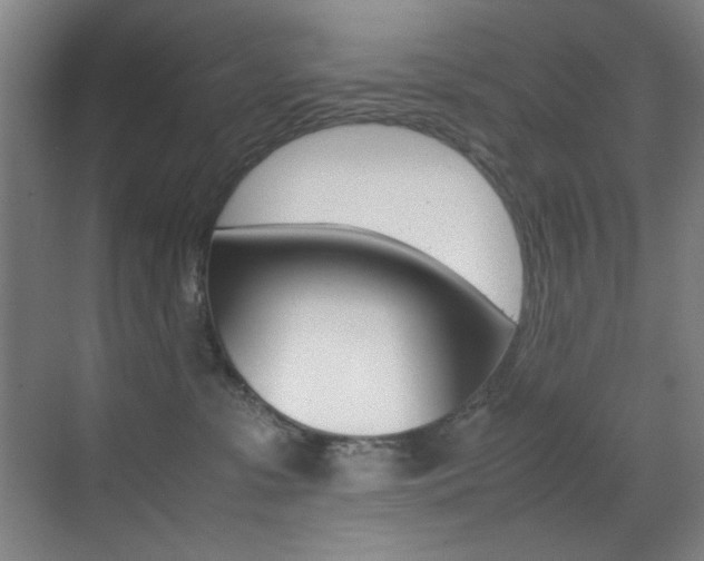 X0000070410331200606091002