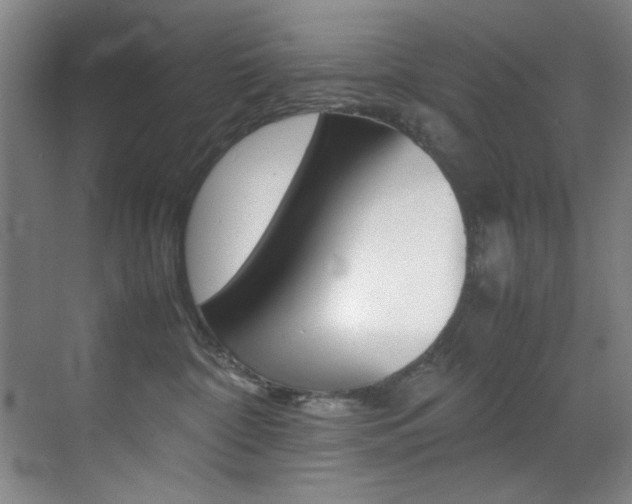 X0000070410332200606091002