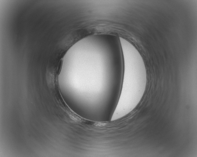 X0000070410333200606091002