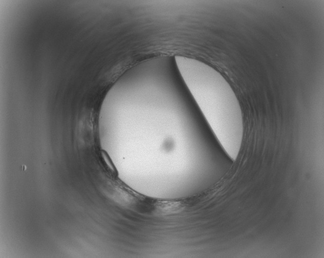 X0000070410334200606091002