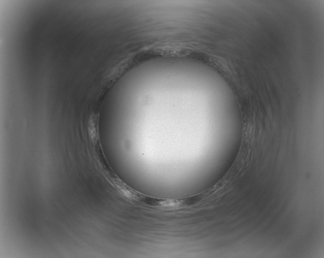 X0000070410335200606091002