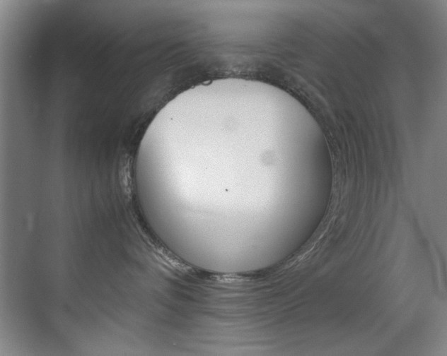 X0000070410336200606091002