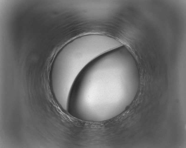 X0000070410337200606091001