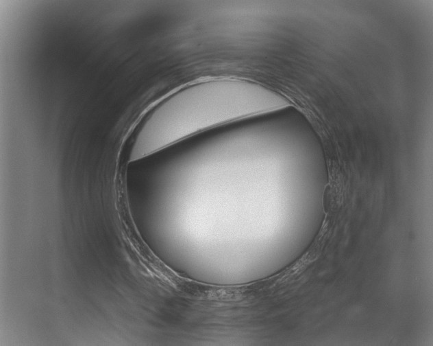 X0000070410338200606091001