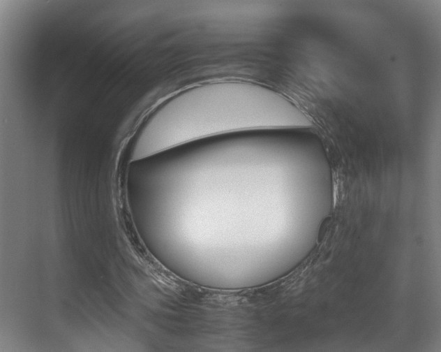 X0000070410339200606091001