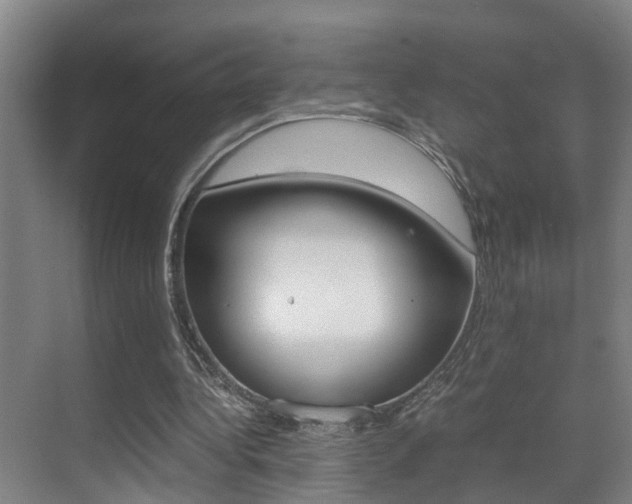 X0000070410340200606091001