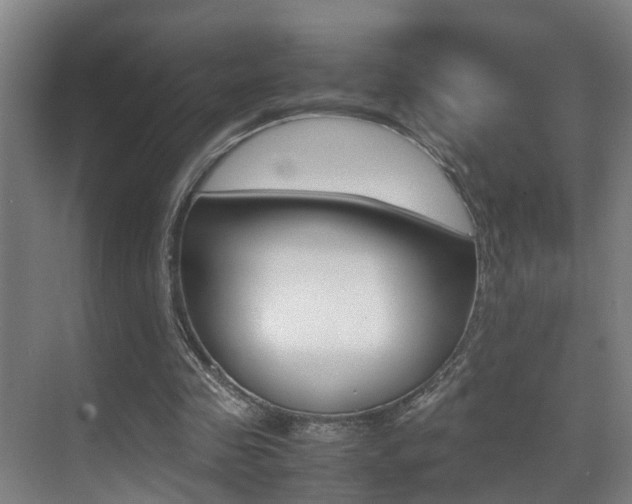 X0000070410341200606091001