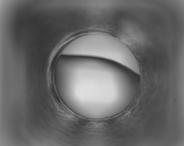 X0000070410343200606091001