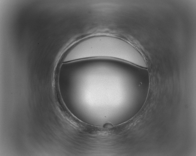 X0000070410344200606091001