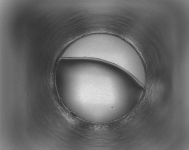 X0000070410345200606091001