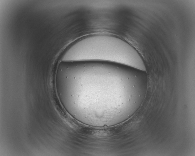 X0000070410347200606091001