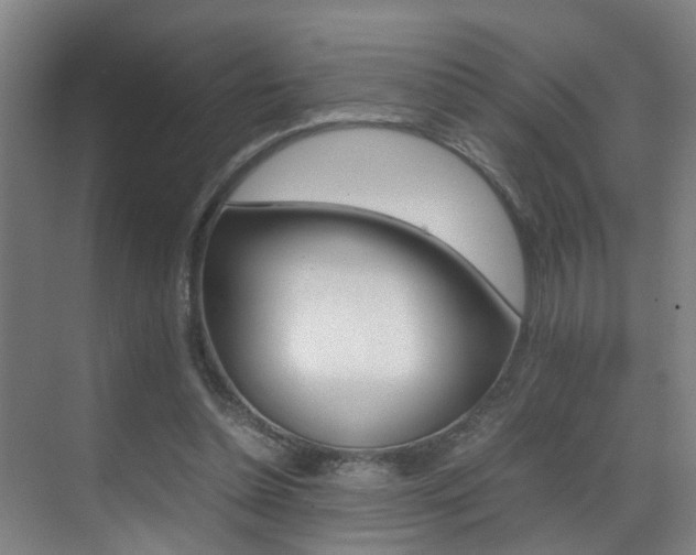 X0000070410348200606091001