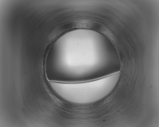 X0000070410349200606091001