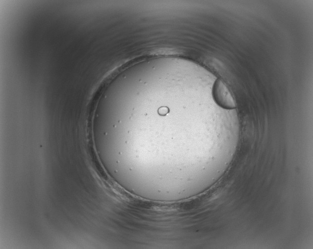 X0000070410351200606091001