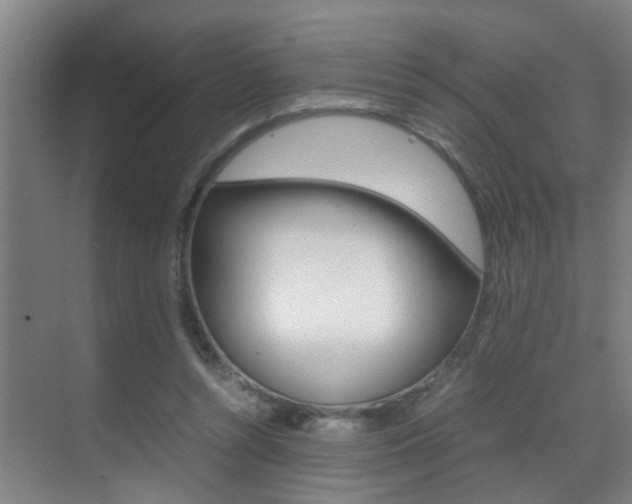 X0000070410352200606091001