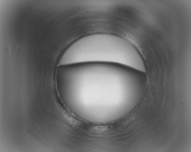 X0000070410353200606091001