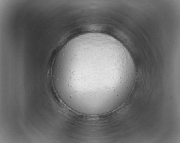 X0000070410355200606091001